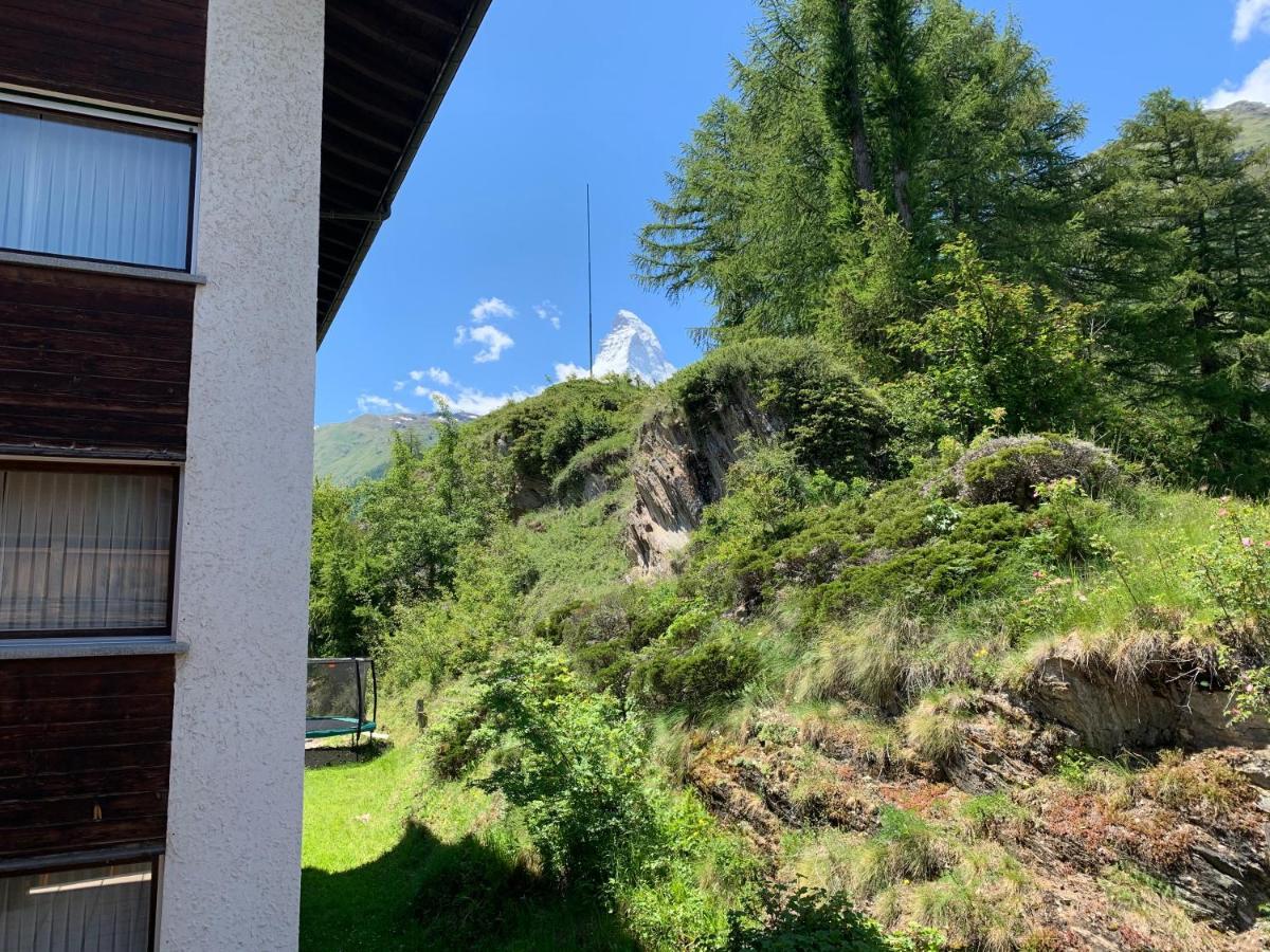 Appartements Zermatt Paradies Luaran gambar